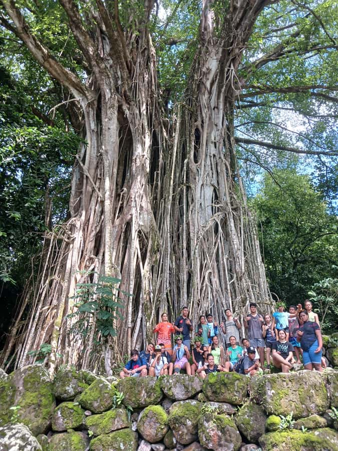 Moorea : Safari Nature and Culture Tour with local guide - Missionaries, temples, and Moorea’s changing faith