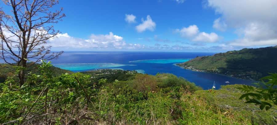 Moorea : Safari Nature and Culture Tour with local guide - Toatea Lookout starts the morning with a reef view