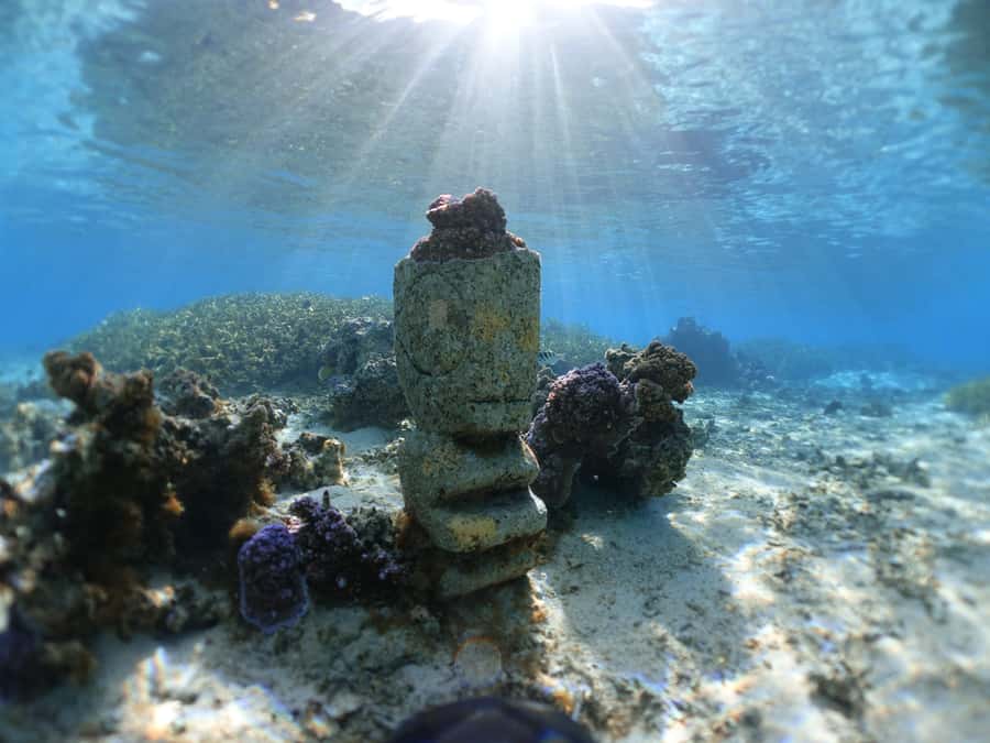 Moorea: Sea Scooter Snorkeling Tour - The reef stops and what you may see