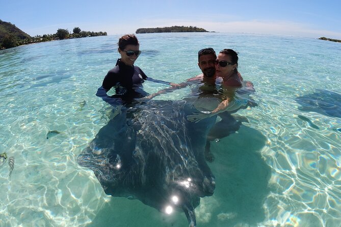 Moorea Solo or Twin 2 hours Jet Ski Tour - Riding toward the stingrays and blacktip sharks