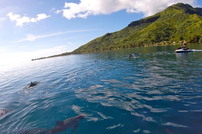 Moorea Solo or Twin 3 hours Jet Ski Tour - Weather, cancellation, and cruise timing