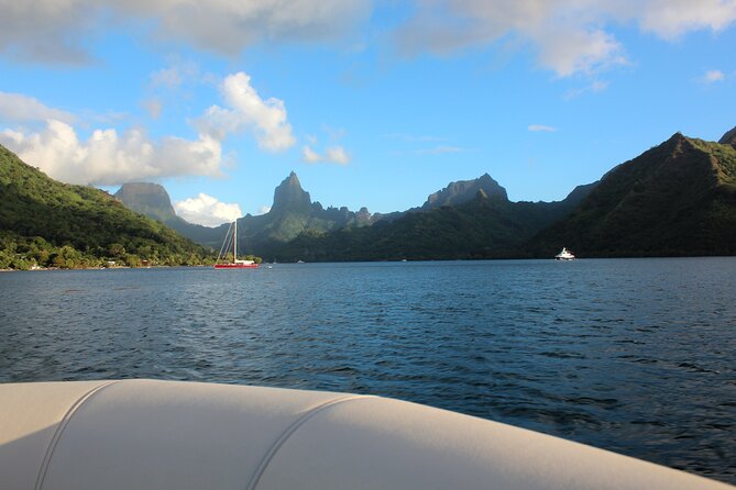 Moorea Sunset Boat Tour - The Rays and Sharks Stop