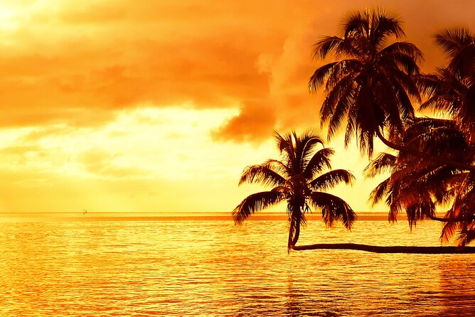 Moorea Sunset Boat Trip - Who will enjoy this Moorea sunset trip?
