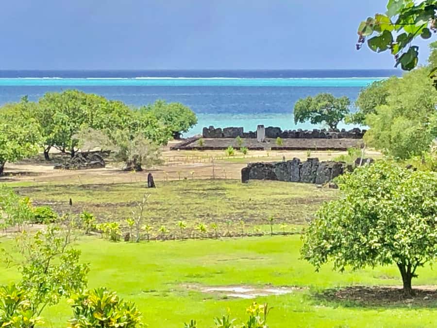 Must-Do : Nature, Culture & Moments Uniques – MirimirI Tours - Farm and Botanical Garden: A Useful First Stop