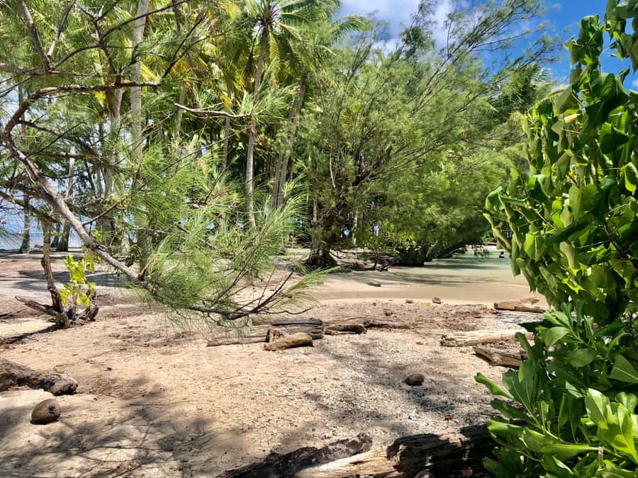 Must-Do : Nature, Culture & Moments Uniques – MirimirI Tours - Faaroa Belvedere and the Island From Above