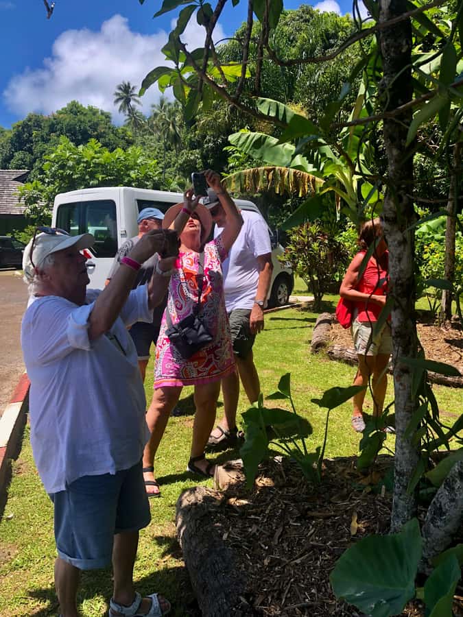 Must-Do : Nature, Culture & Moments Uniques – MirimirI Tours - The Value of $198 Per Person