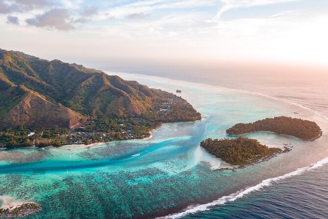 N°1 Moorea Transfers Shuttle Airport Ferry terminal - A Gentle Start at Temae Airport or the Ferry Terminal