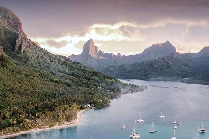 N°1 Moorea Transfers Shuttle Airport Ferry terminal - What You Get for $30.37 Per Person