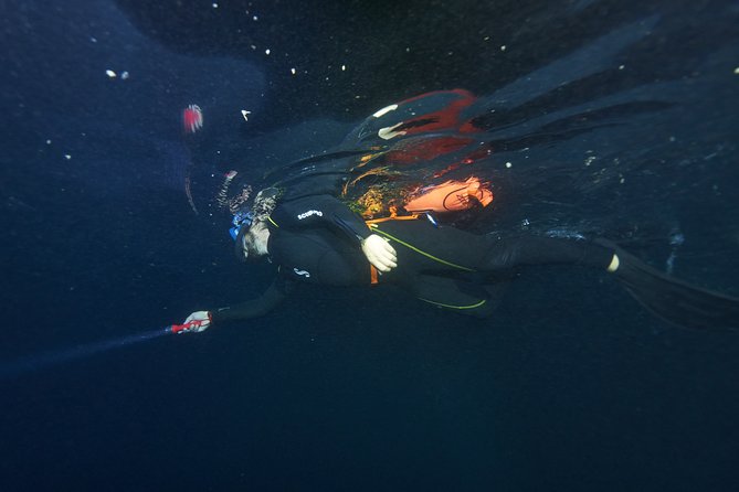 Night Snorkeling - Following the reef for about 90 minutes