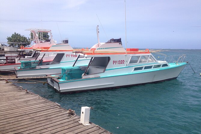 Papeete and Tahiti Historical and Cultural Tour - Why this short tour works well in Papeete