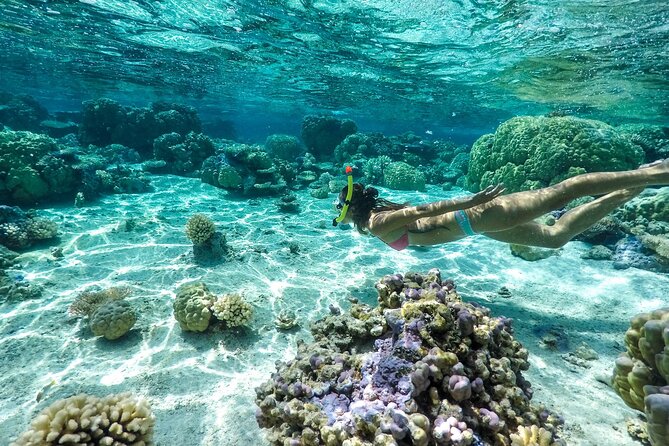 Private 4 Hours Reef Discovery Luxury Private Treasure Hunt in Bora Bora - Fabien and Pierre: the human side of the tour