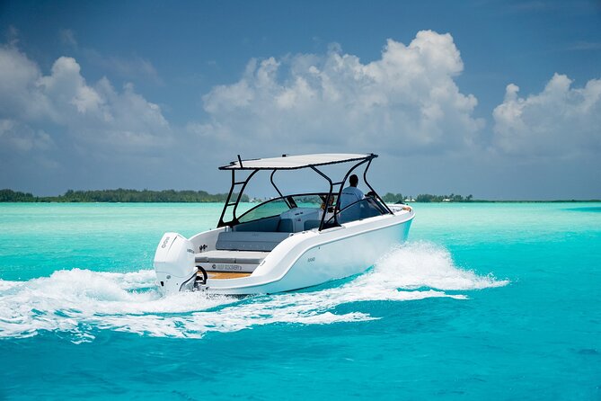 Private 4 Hours Reef Discovery Luxury Private Treasure Hunt in Bora Bora - What the $1,068.76 price buys you
