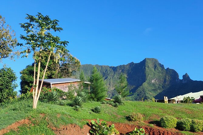 Private and guided visit to Mystery House Raiatea - A short visit with a very strange point of view