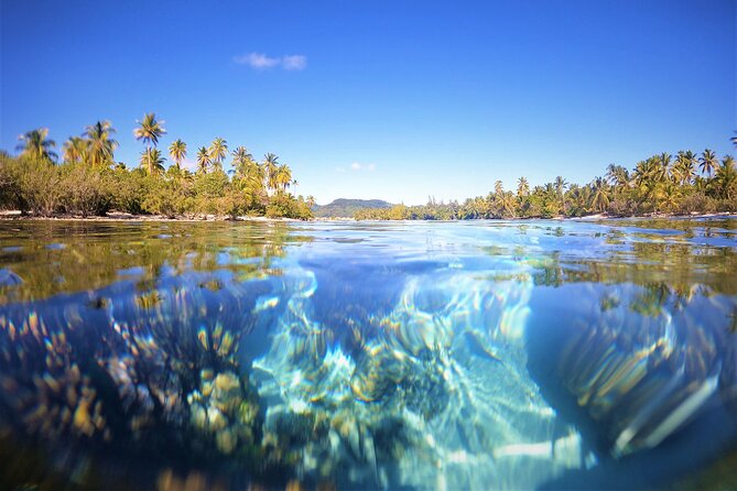 Private and guided visit to Mystery House Raiatea - Why the 30-minute length can work