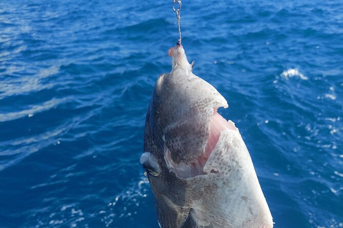Private Big Game Fishing Tour in Raiatea - Tuna, Barracuda, Bonito, and Trevally