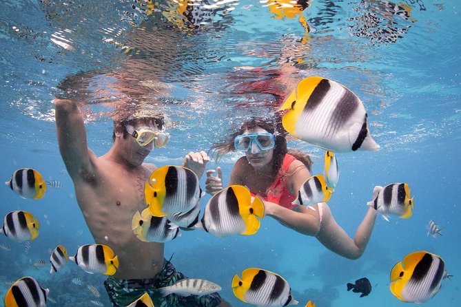 Private Boat Rental on Cap Camarat 17ft - Why a private boat changes the Bora Bora day
