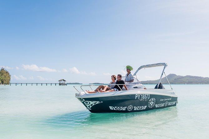 Private Boat Rental on Cap Camarat 17ft - Snorkeling with sharks, rays, turtles, and reef fish