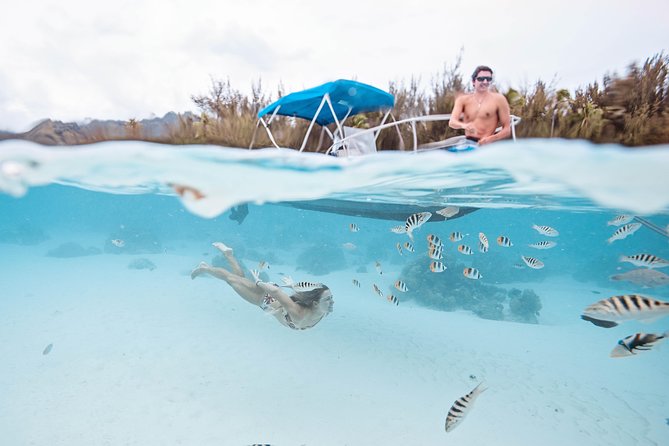 Private Boat Tour of Moorea Lagoon - Why the private format is worth the money