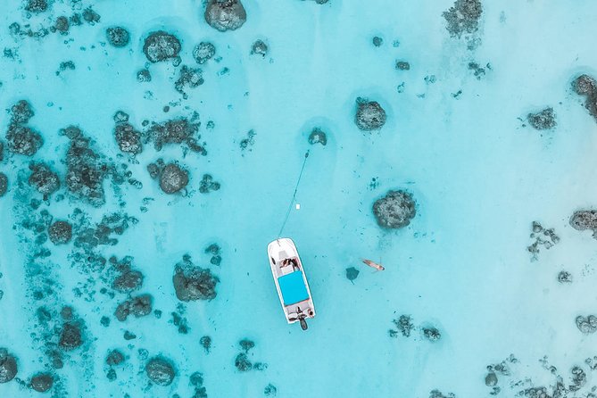 Private Boat Tour of Moorea Lagoon - Photos from above and below the water