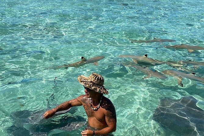 Private Bora Bora Lagoon Experience - Is $641.33 a fair price?