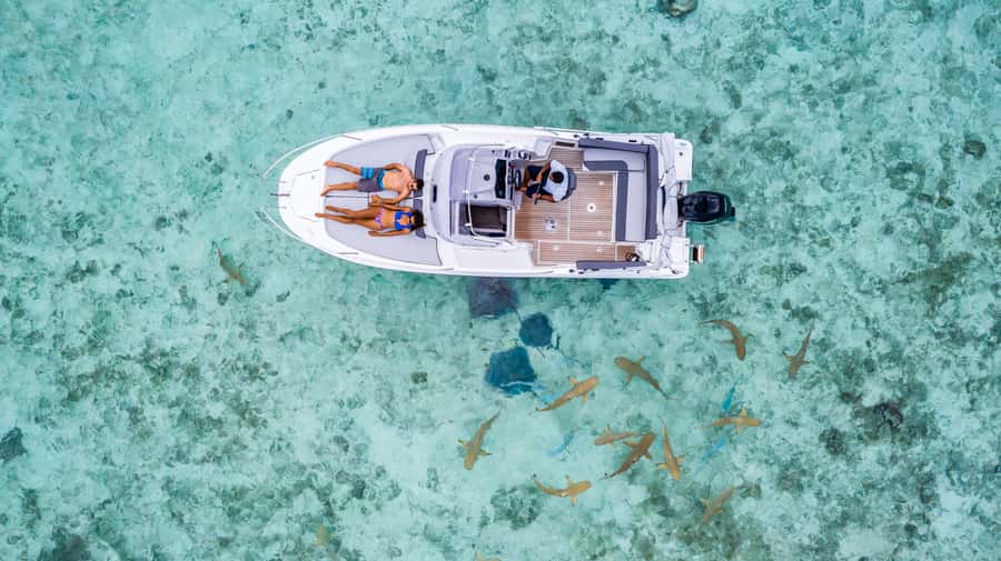 Private Bora Bora Lagoon Snorkel Cruise with BBQ Picnic - Who will like this Bora Bora cruise?