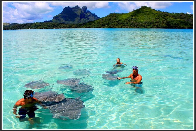 Private Bora Bora Lagoon & Water Lunch Experience - What the private guide adds to the day