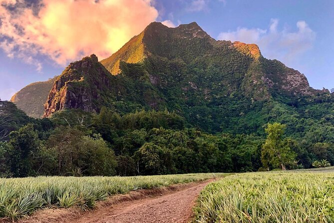 Private Day Trip Hike and Boat in Moorea - Following Moorea’s ancestor trail