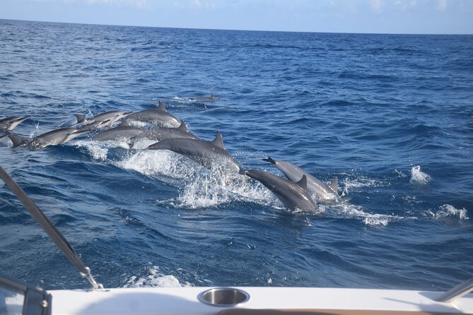 Private Day Trip Hike and Boat in Moorea - Marine life, snorkeling, and seasonal whales