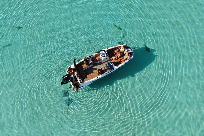 Private Day Trip Hike and Boat in Moorea - What the private format is worth at $1,822