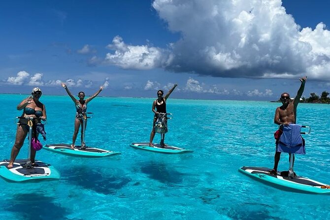 Private Electric Paddle Cruise in Bora Bora - Stingrays, fish, and the chance of sharks