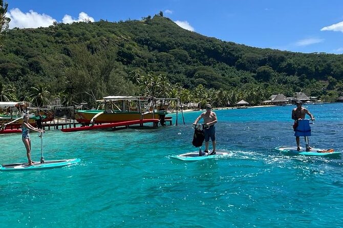 Private Electric Paddle Cruise in Bora Bora - Is $55 a fair price for one hour?