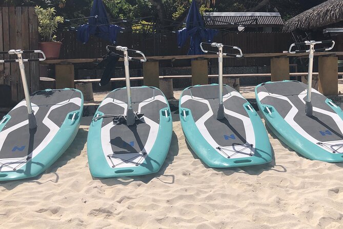 Private Electric Paddle Cruise in Bora Bora - The best time to choose this activity