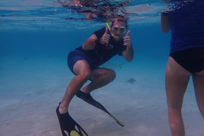 Private excursion Half day Moorea Discovery of the lagoon - Snorkeling at your own rhythm