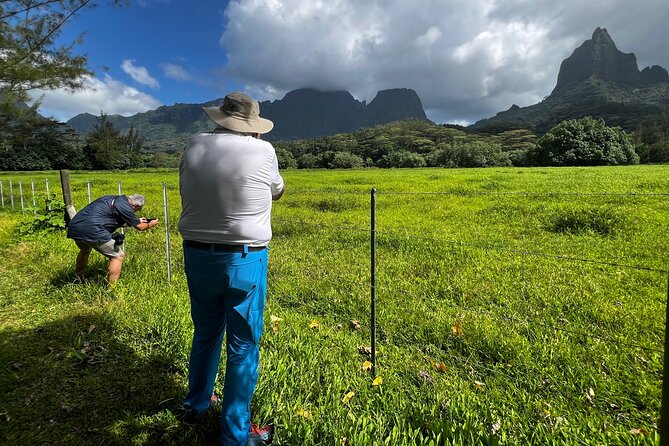 Private excursion to Moorea, photo tour & immersive discovery - The private format and the $473.71 price