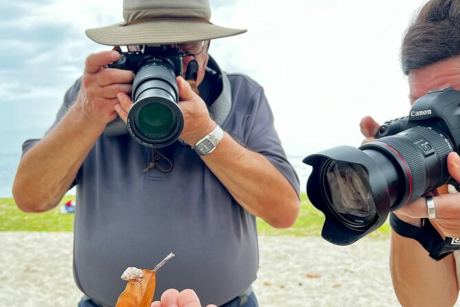 Private excursion to Moorea, photo tour & immersive discovery - Opunohu Bay and the quieter side of the island