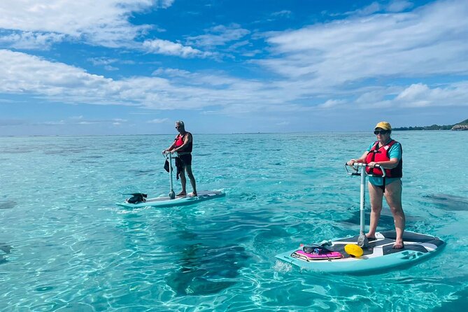 Private Excursion with E-Board in Moorea with snorkeling - Starting at Manava Beach Resort in Maharepa