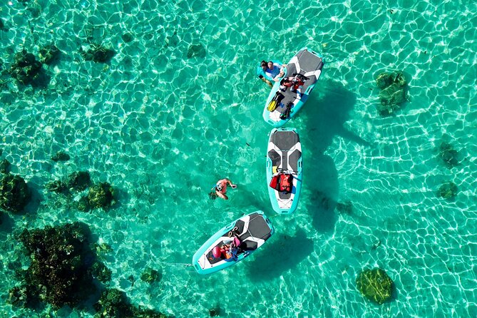 Private Excursion with E-Board in Moorea with snorkeling - The Maharepa lagoon and coral-garden stop