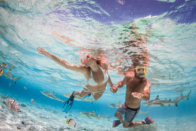 Private Full Day Aquatic Photo Tour + Resort Photo-Shoot (All inclusive) - Two or more lagoon stops for aquatic photographs