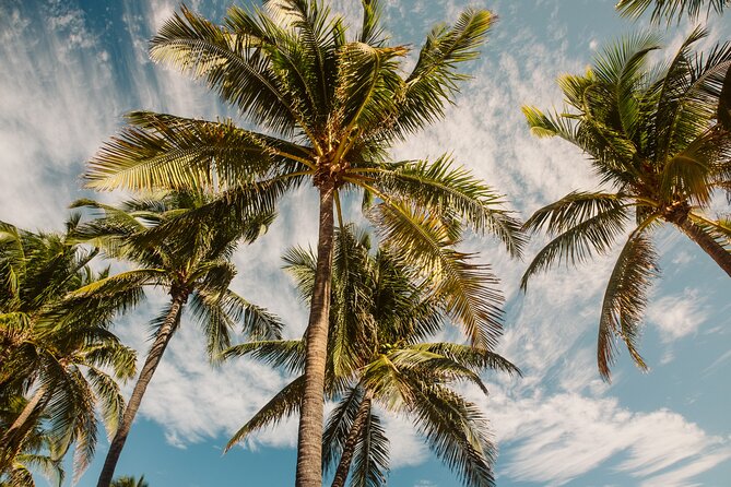 Private Full-Day Lagoon Adventure in Bora Bora with BBQ Lunch - The guides can shape the whole day