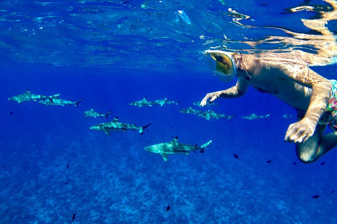 PRIVATE FULL DAY LAGOON TOUR - Bora Bora Cultural Lagoon Tour - Key details at a glance