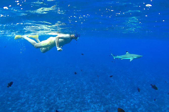 PRIVATE FULL DAY LAGOON TOUR - Bora Bora Cultural Lagoon Tour - Why this private lagoon day feels different