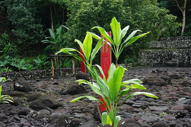 Private Full-Day Tahiti — Grotto, Gardens & Panoramas - Faarumai Waterfalls and the north coast