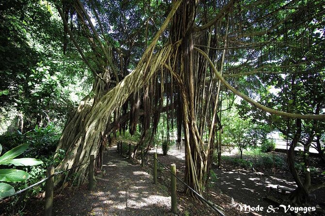 Private Full Day Tour of Tahiti - Taravao Plateau offers the widest view of the day