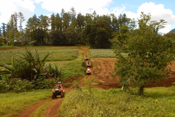 Private Half-Day Hike in the Opunohu Valley in Moorea - Learning Moorea’s plant life along the trail