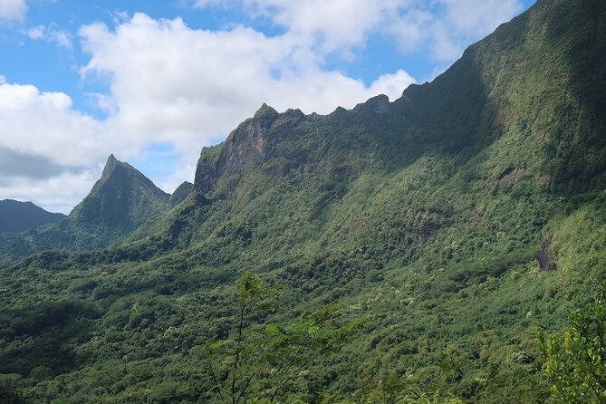 Private Half-Day Hike in the Opunohu Valley in Moorea - Following archaeological trails