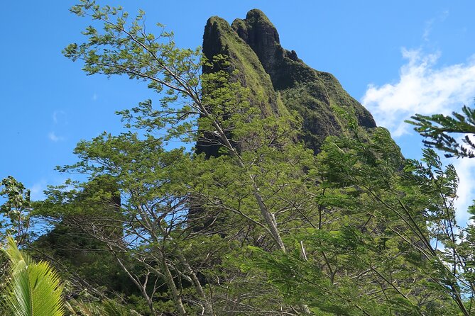 Private Half-Day Hike in the Opunohu Valley in Moorea - The role of Fabien as your private guide