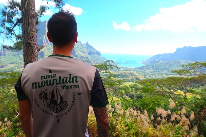 Private Half-Day Hike in the Opunohu Valley in Moorea - Walking through pineapple country