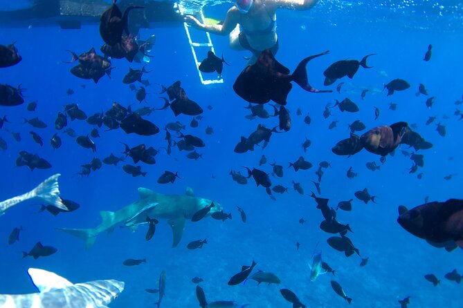 PRIVATE HALF DAY LAGOON TOUR - Bora Bora Cultural Lagoon Tour - What $1,336.10 Buys Your Group