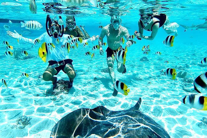PRIVATE HALF DAY LAGOON TOUR - Bora Bora Cultural Lagoon Tour - Coral Gardens Filled With Tropical Fish