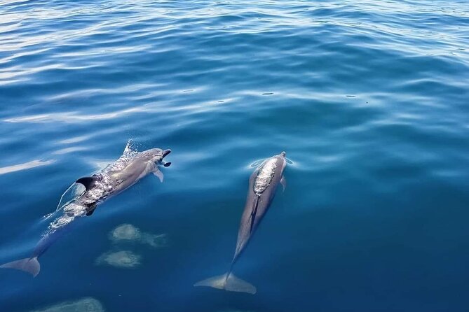 Private Half Day Sailing Excursion on the Lagoon of Tahiti - Second stop: shallow water, fruit, juice, and local punch